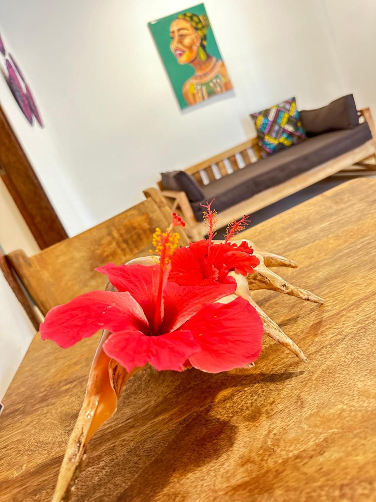 בווג'ו Sand Beach Boutique Apartments מראה חיצוני תמונה